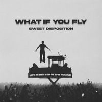 BUNT. - What If You Fly (Sweet Disposition)