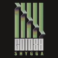 Goto80 - S H Y G G A