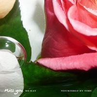Ms Ray - Miss You