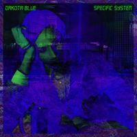 Dakota Blue - Specific System