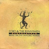 Echo & the Bunnymen - Bring On the Dancing Horses