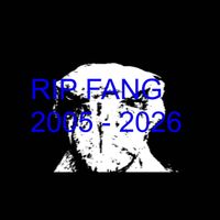 i am cosine - fly high fang...