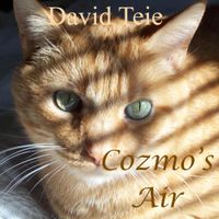 David Teie - Cozmo's Air