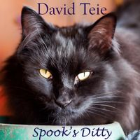 David Teie - Spook's Ditty