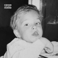 Lins EFX - L'aniversari d'un gat persa