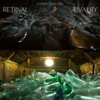 Cyprien Gaillard - Retinal Rivalry