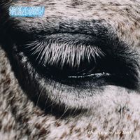 Smag P&aring; Dig Selv - This Is Why We Lost