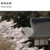 セカムの - moments