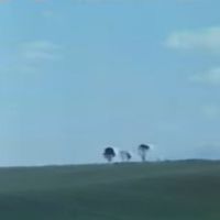 セカムの - 自然