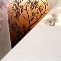 セカムの - 季节
