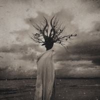 THORNAPPLE - Enlightenment