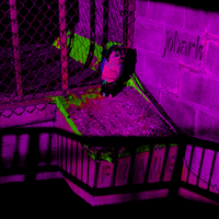 Johark - Frame