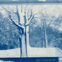 Brrd / Wodoo Wolcan - Brrd / Wodoo Wolcan