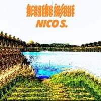 Nico S. - breathe in/out