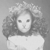 Mr.Kitty - ETERNITY