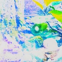 His Majesty Lives ハ・ホ・ヘ - 遠くへ行き過ぎてしまった、貴方 [You Have Drifted Too Far, Dear]
