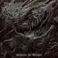 Insect Inside - Reborn In Blight