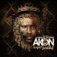 Akon & DJ Whoo Kid - Konkrete Jungle