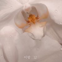 네스티요나 [Nastyona] - 이랑.12