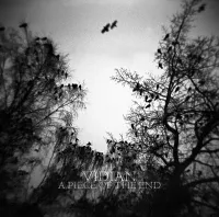 Vidian - A Piece of The End
