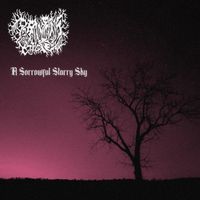 Ravens Hike - A Sorrowful Starry Sky