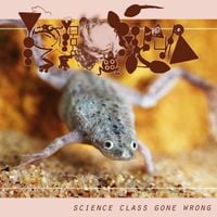 Phyllomedusa - scienceclassgonewrong