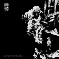 Stormo - Sogni Che Invadono Il Cielo