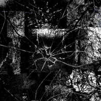 AkiraDoves - delirium