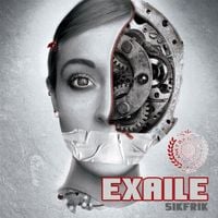 Exaile - Sikfrik