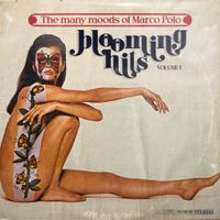 Marco Polo - The Many Moods of Marco Polo Vol. 1