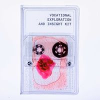 Veik - Vocationnal Exploration and Insight Kit