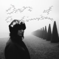 Imane El Halouat - Days of Optimism