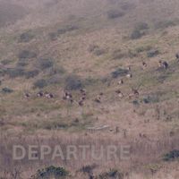 Mountain View - Departure
