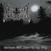 Raping Christ - Darkness Will Show Us The Way