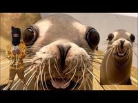 Yuno Miles - Sea Lion 2