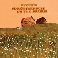 Buckethead - Slaughterhouse On The Prairie