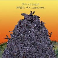Buckethead - Needle in a Slunk Stack
