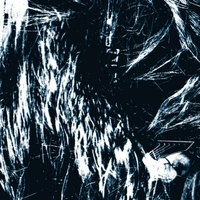 Brutal Blues - Brutal Blues