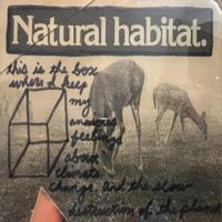 Sly Jr. - Natural Habitat