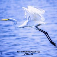 Dubdubee - Sharpening, Vol. 1