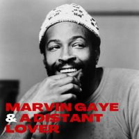 Marvin Gaye - Marvin Gaye & A Distant Lover