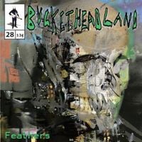 Buckethead - Feathers