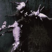 Kicked In The Head By A Horse - BLOOM/DECAY