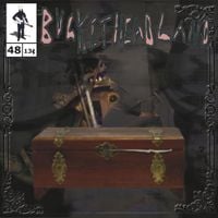 Buckethead - Hide in the Pickling Jar