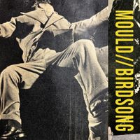 MOULD - Birdsong