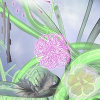 Herbarium - Tuned Air