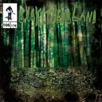 Buckethead - Forest of Bamboo