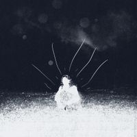 The Space Ocean - Carefree