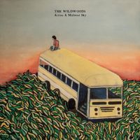 The Wildwoods - Across A Midwestern Sky