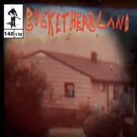 Buckethead - Hats and Glasses